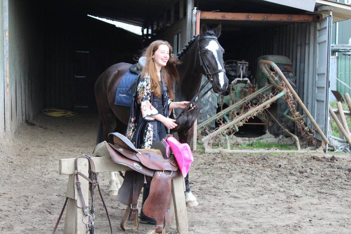 MaaikeSpaans's tweet photo. Paardje deed het super #opendag #thema #horse #equestrian #black https://t.co/abDroHj57r