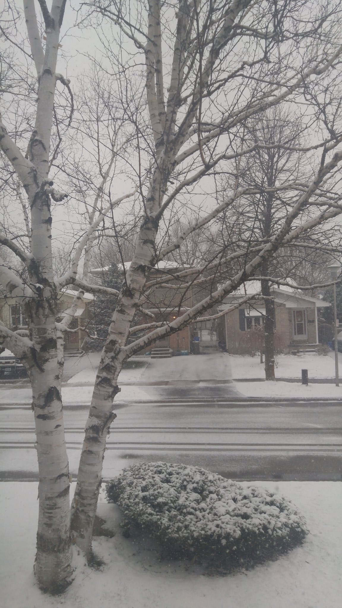 TW Pornstars - Marah's Pretty Feet. Twitter. What is this craziness! It ...