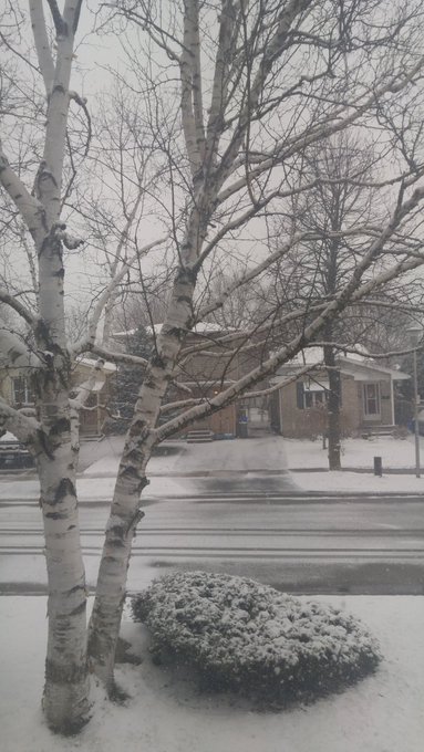 What is this craziness! It's spring, not winter. https://t.co/VN24QhDzFC<a href="/tag/footworship"class="tags"><span>#footworship</span></a>