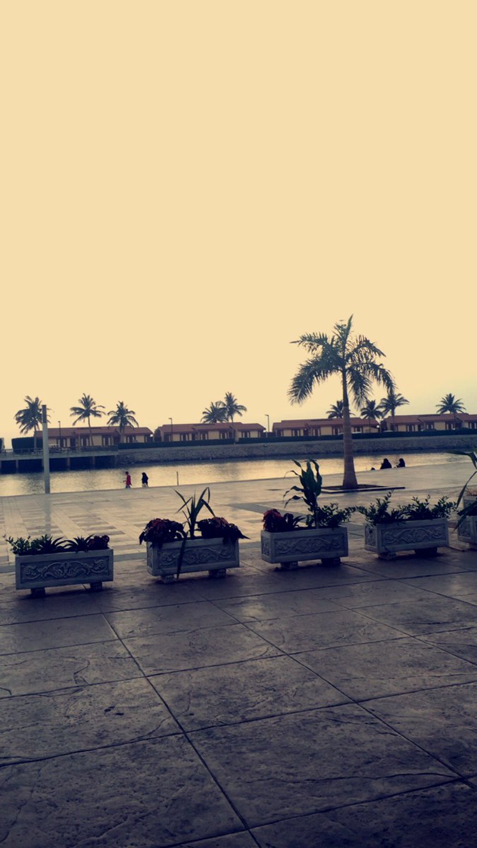 Mona Abdullah tweet media