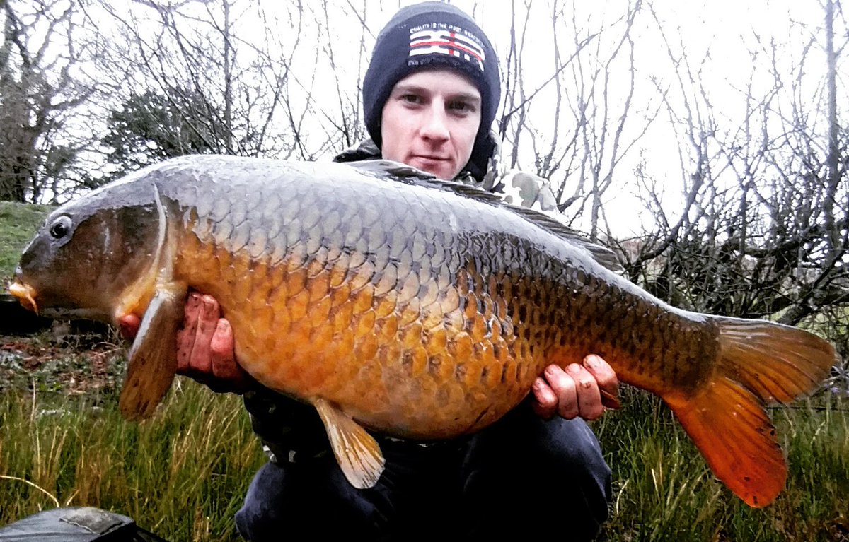 krisjenx123's tweet photo. Fat comon #BBRMUNCHERS #DECEPTIONANGLING #CAMOCARPY #BARTONSLEADS https://t.co/bmklsR61G3