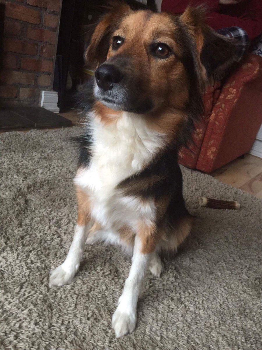 CedarGroveVets's tweet photo. Some more of this year's entrants
#photocomp2016 https://t.co/Qnk8z2nm5P