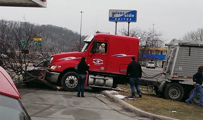 BRINGGOODVlBES's tweet image. I'm really sorry, they got me driving 14 hours a day in this thing and also I'm a dog