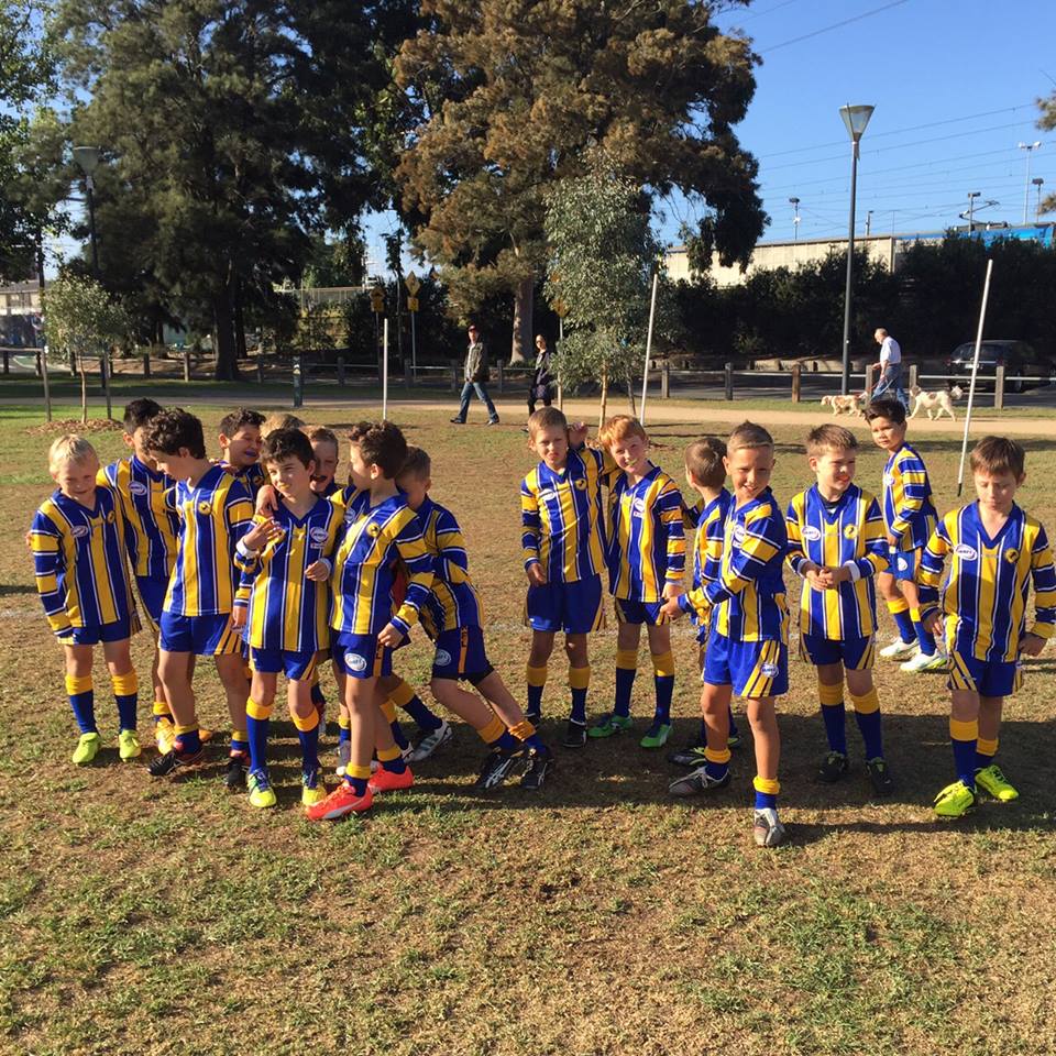Infrastructlead's tweet photo. @NMFCOfficial @WesternRegionFL @FlemingtonVRC @mvleader @cityofmelbourne FlemColts Versus Sunshine. #greatattitudes https://t.co/NO6VkiYSF1