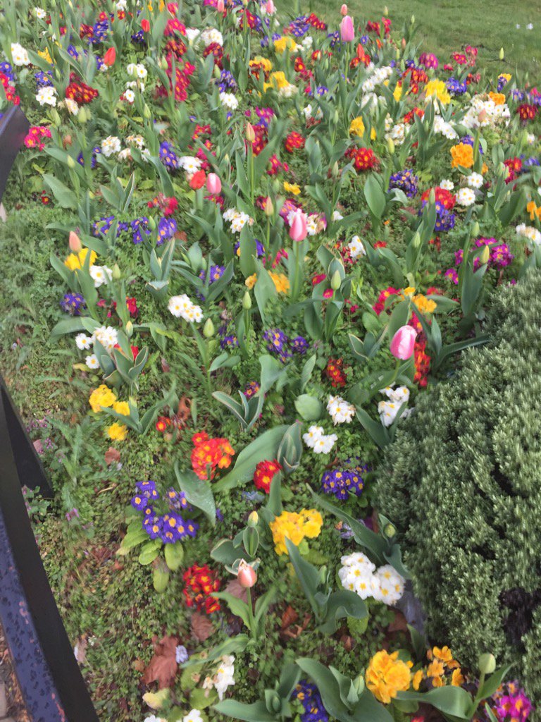 SBrecht's tweet image. Сегодня в Гайд парке. Красиво!