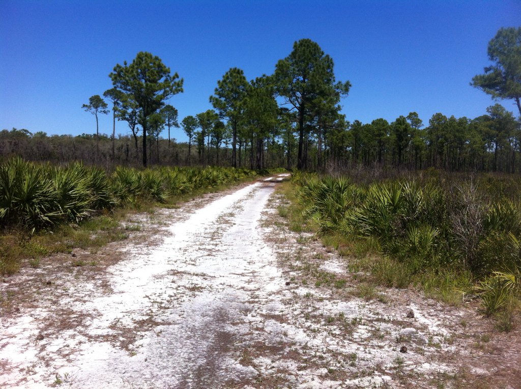 kerlin_kerry's tweet photo. #LoveFL #HontoonIsland #OldFL https://t.co/qjnpbti9jJ