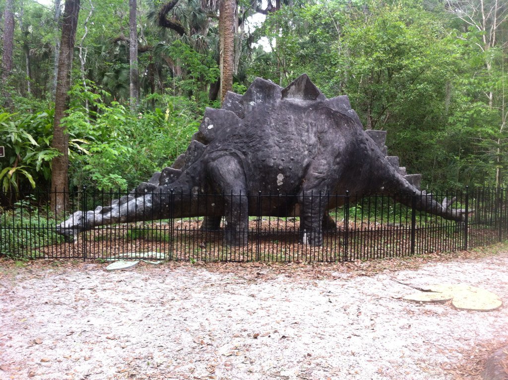 kerlin_kerry's tweet photo. #LoveFL remains of Bongoland #weirdbutfun #oldfl https://t.co/OwM54Cpxlg