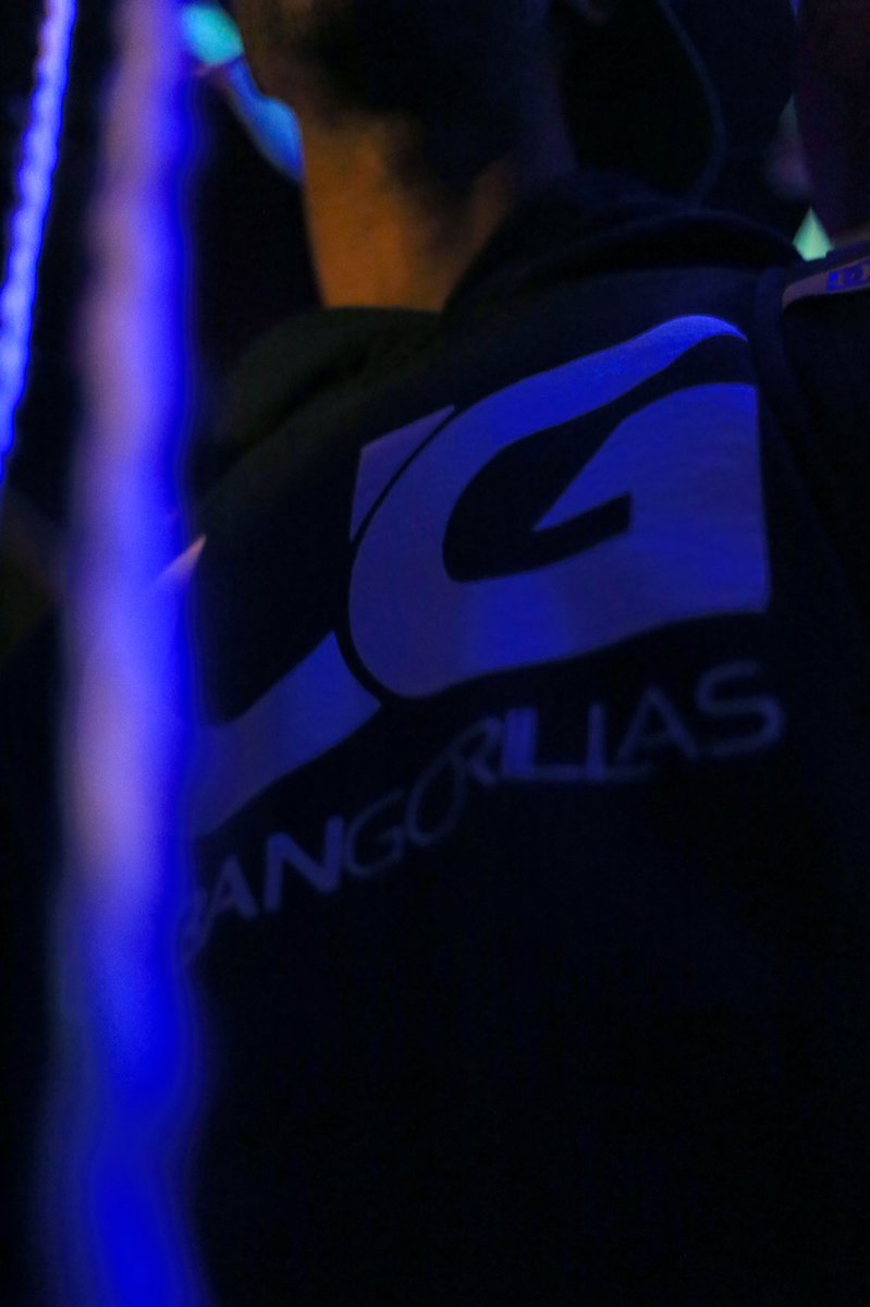 YuhBoyGaryP's tweet image. The Night Show 🎶🎶 [] #ASWLI #UrbanGorillas #WeAreGorillas