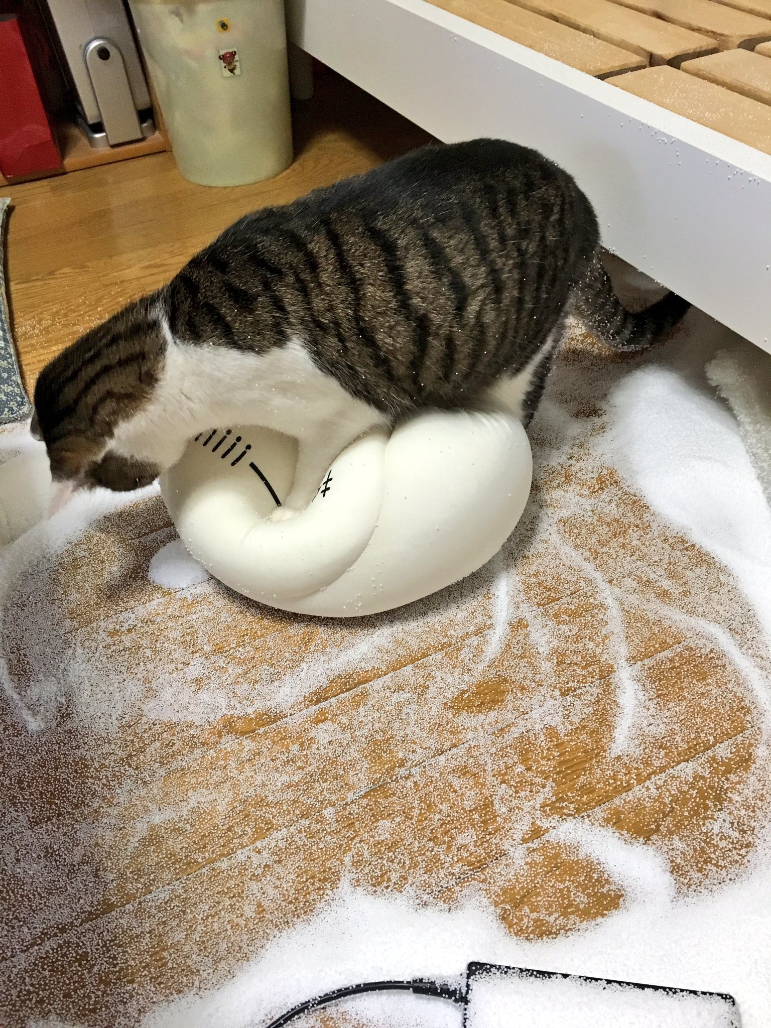 悲劇 やってしまった ニャンコさんもビックリの非常事態 話題の画像プラス 悲劇 やってしまった ニャンコさんもビックリの非常事態 話題の画像プラス