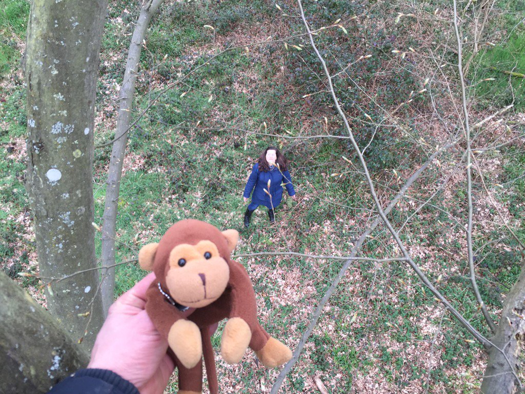 cornelius_TB's tweet photo. #geocaching a #stgermainenlaye avec @thepatbull @seblaventure @wendy_chardron @debbyTMM https://t.co/89dodQFEM8