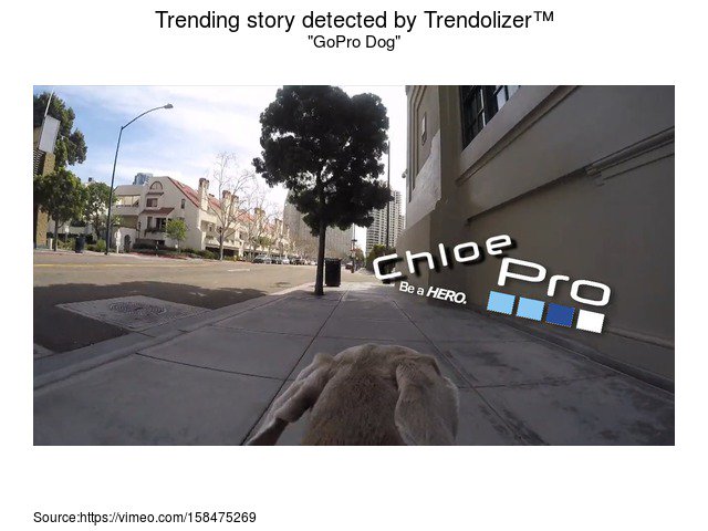 GoProLizer's tweet photo. GoPro Dog #SamMalcolm #PaceSamMalcolm #ChloeRoyaltyFreeMusic #BenSound https://t.co/dewft0XoSx https://t.co/SZRBPaFDM0