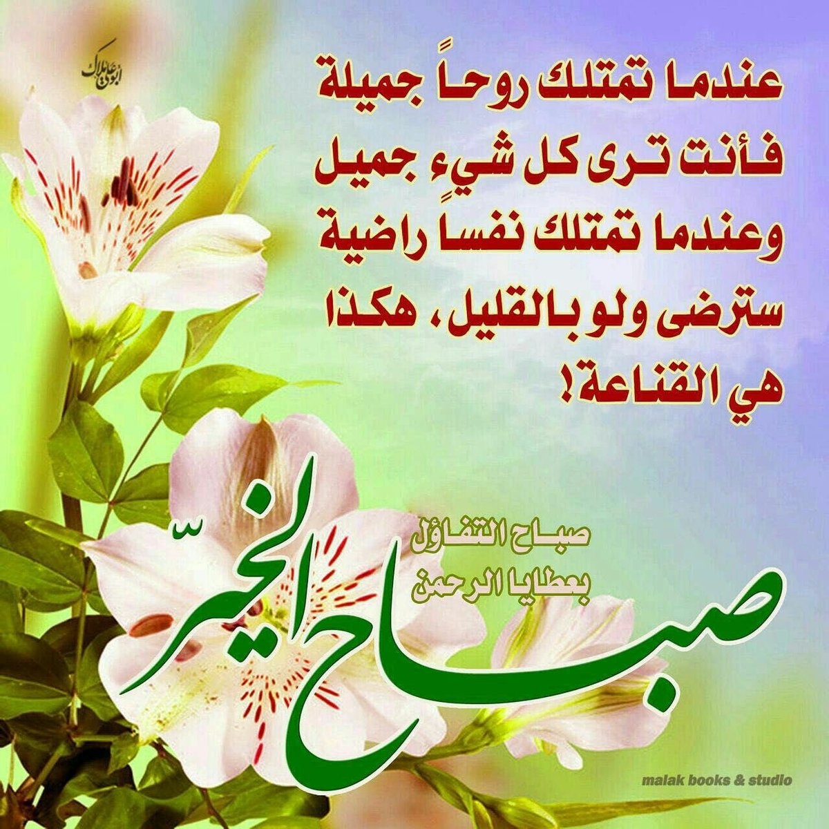 @nooralassadi931