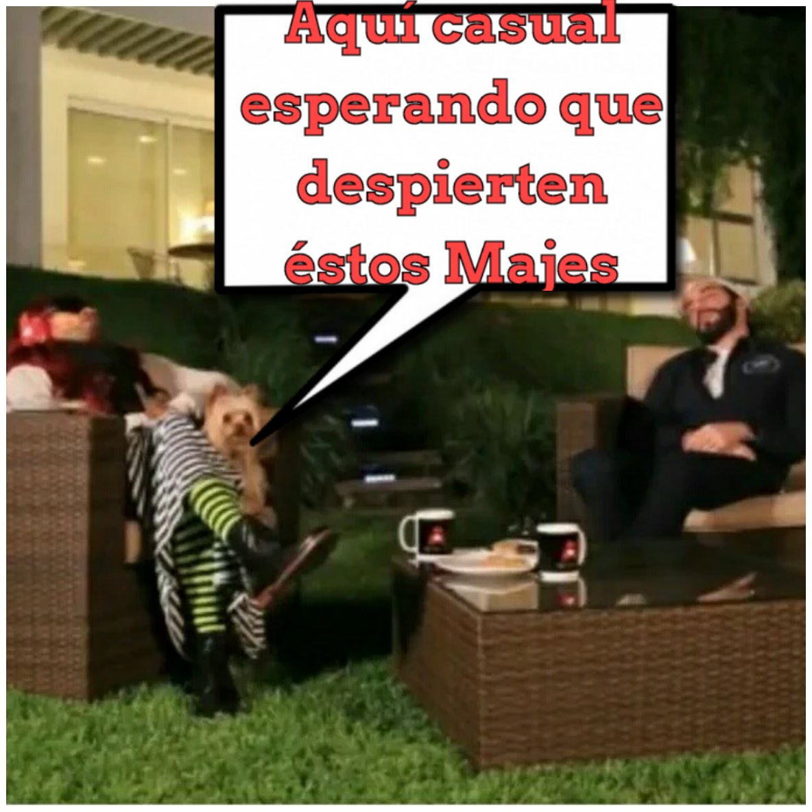 Molina30N's tweet photo. @nayibbukele sigan adelante esto fue algo
Distintos q merece ver ya estamos arto de ver lo mismo en la Tv https://t.co/wtKylJhlU0