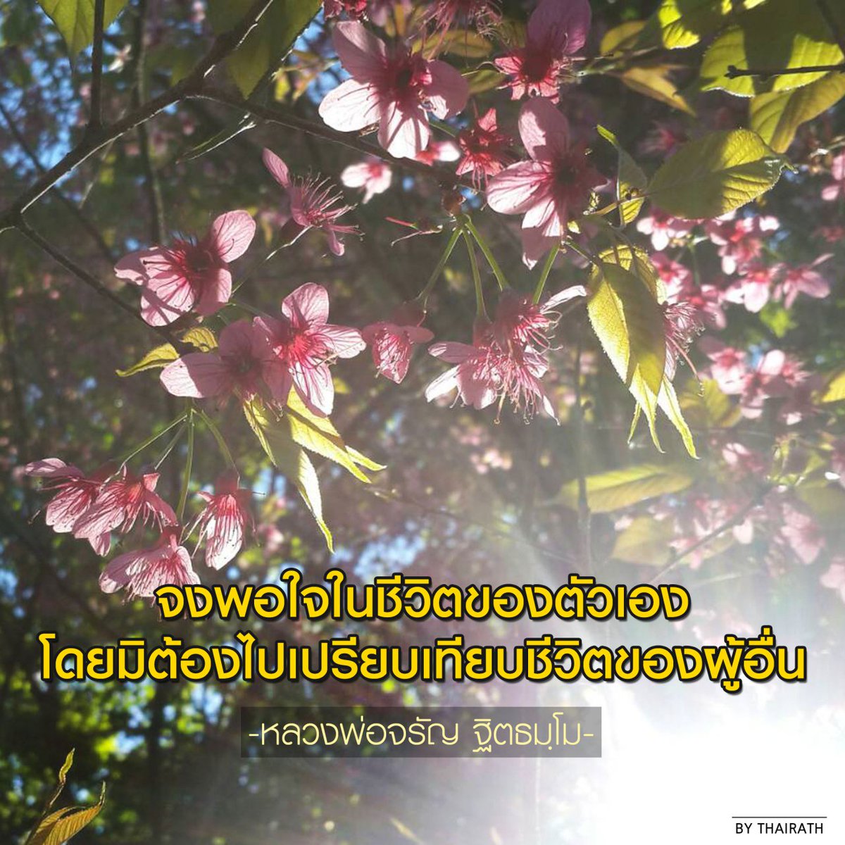 Thairath_News tweet media