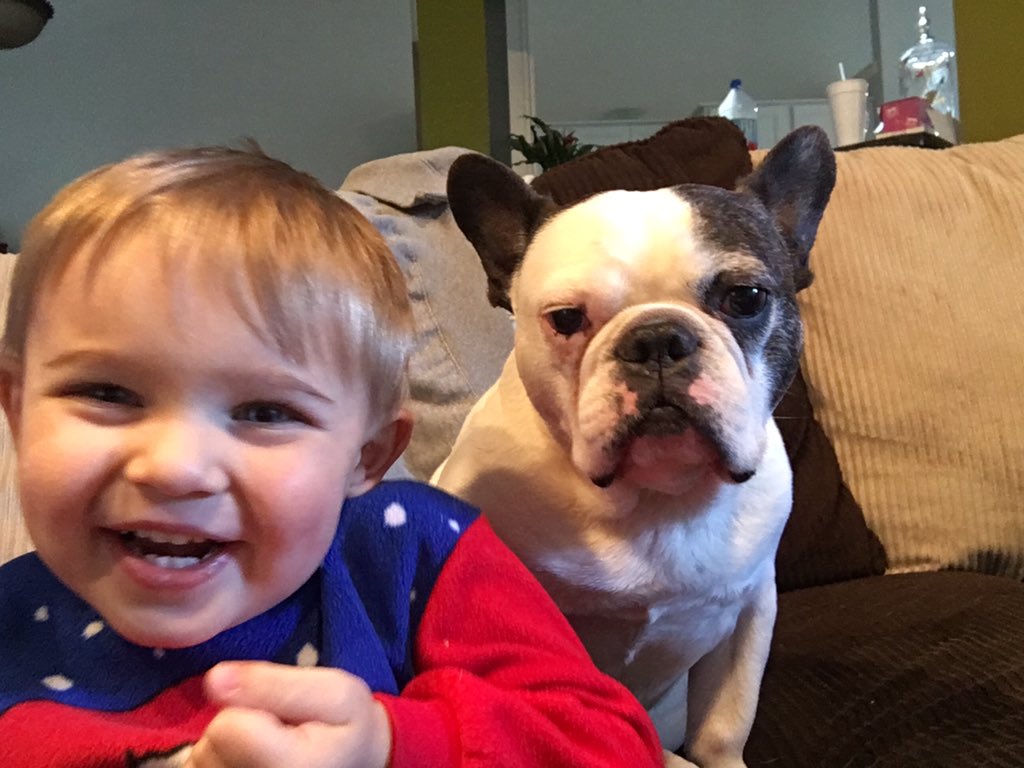 HugotheFrenchie's tweet image. I love taking selfies with my little brother.