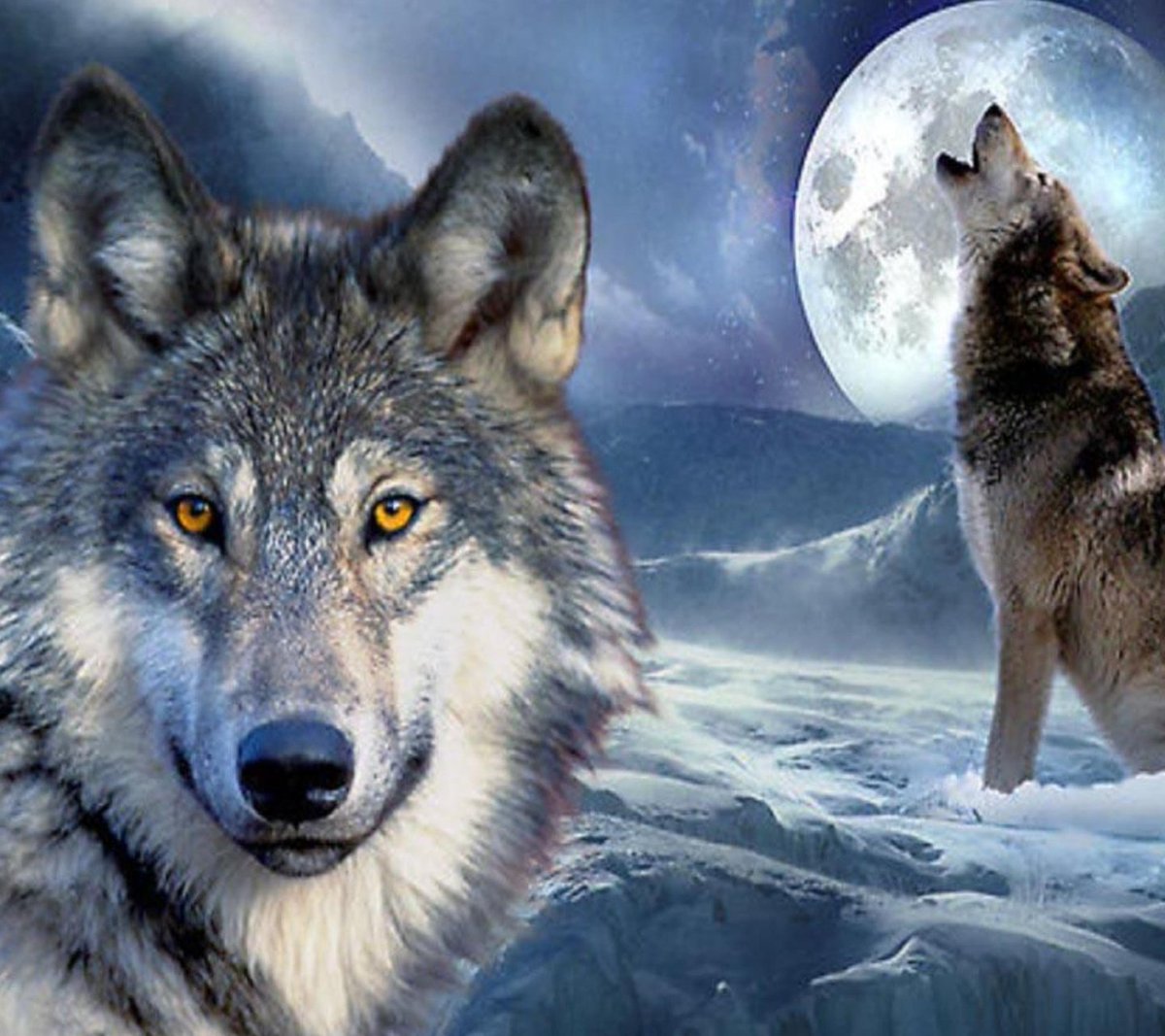 LabraAlbarran's tweet image. Loboss