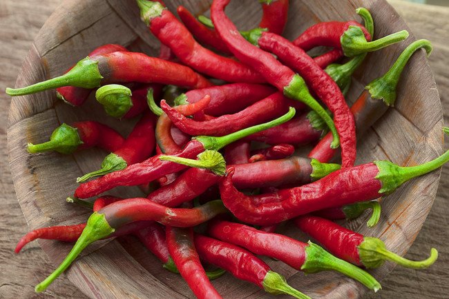 directopaladar's tweet photo. Descifrando el poder picante de los pimientos: no todos lo almacenan igual https://t.co/lMxL9GK0p9 https://t.co/Sd2mMJzbQu