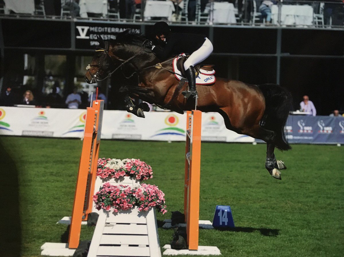 Arthur rocking his amazing <a href="/OgilvyEq/">Ogilvy Equestrian</a> pads.
#onlythebestforthebest 😀