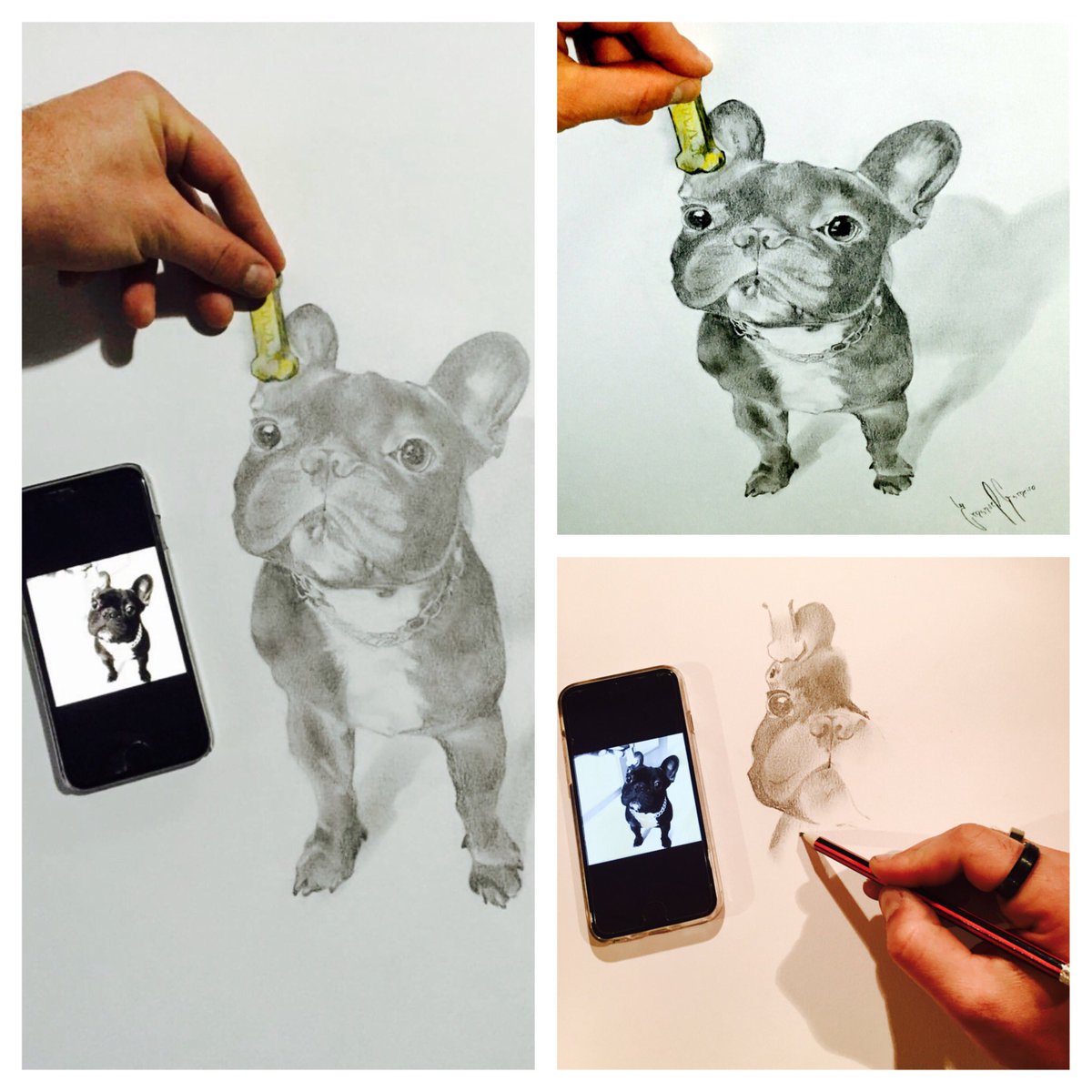 gameiro_mg's tweet photo. Draw a little French bulldog https://t.co/6bpTTrJxAM