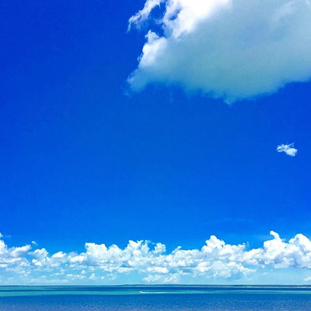 TopEndTweets's tweet photo. #BLUE! https://t.co/N4c9RLBucb sharing all the things you can #Sea (see) #Eat &amp; #Expore here in #Darwin! #TopEnd https://t.co/qD37EGk7ch