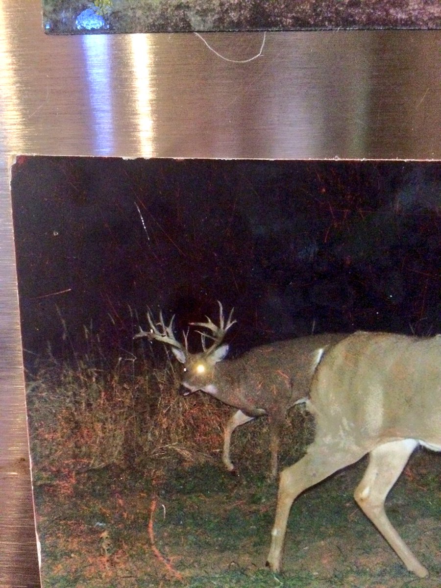 Heartland Pursuit™ tweet media