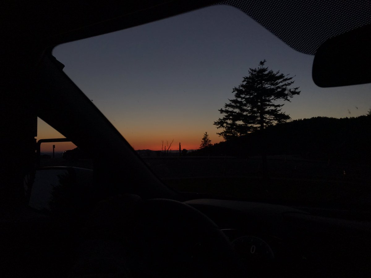 illusionizing's tweet image. today's adventures included