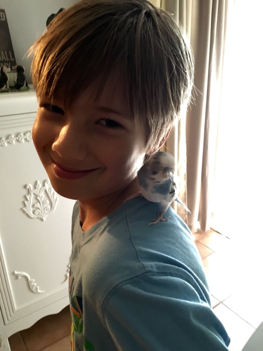 stephsharp5's tweet image. #birdlove