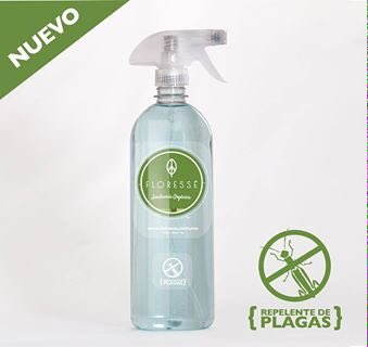 FloresseMaria's tweet photo. Plagas en tus plantas?  Elimínalas con Floressé!! https://t.co/fr6Kmlo0vl