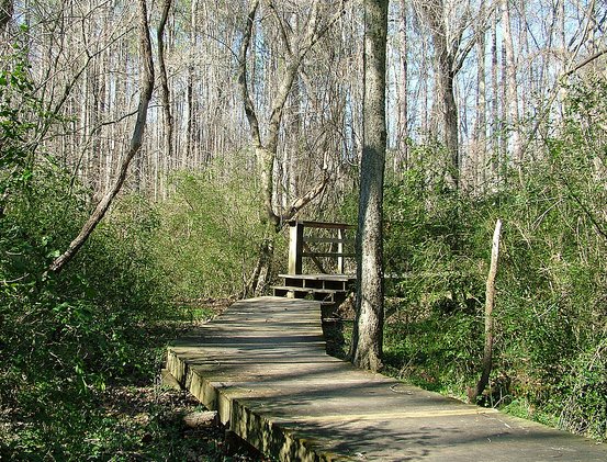 UNCAdmissions's tweet photo. UNC borders Battle Park—a large forested park with multiple walking and running trails #WelcomeToUNC https://t.co/T6GJTYcs7e