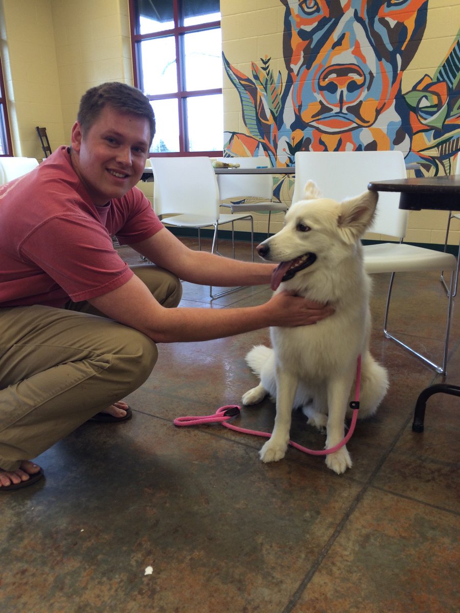 TeeeClaa's tweet photo. I still can't believe I picked up my best friend from the shelter the other day, welcome to the family Delilah! https://t.co/Bqus30jeTn