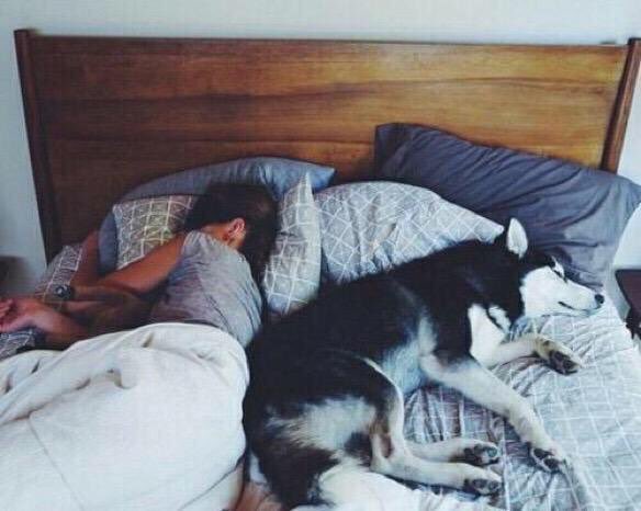 FemaIeStruggIee's tweet photo. 99% sure this is what my future is going to be like and I'm perfectly fine with it https://t.co/Q1GzobD8wt