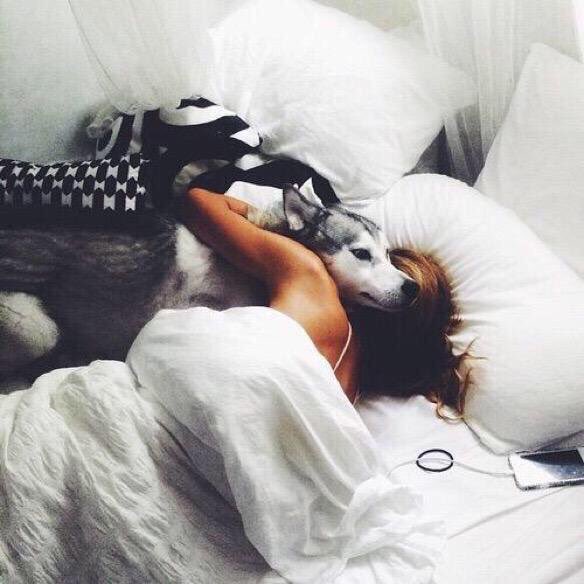 FemaIeStruggIee's tweet photo. 99% sure this is what my future is going to be like and I'm perfectly fine with it https://t.co/Q1GzobD8wt