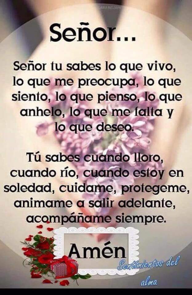 rrodriguezjr's tweet photo. Buenas noches amigos y seguidores y seguidoras 
Les deseo una Productiva semana a todos https://t.co/CnIahLJwG6