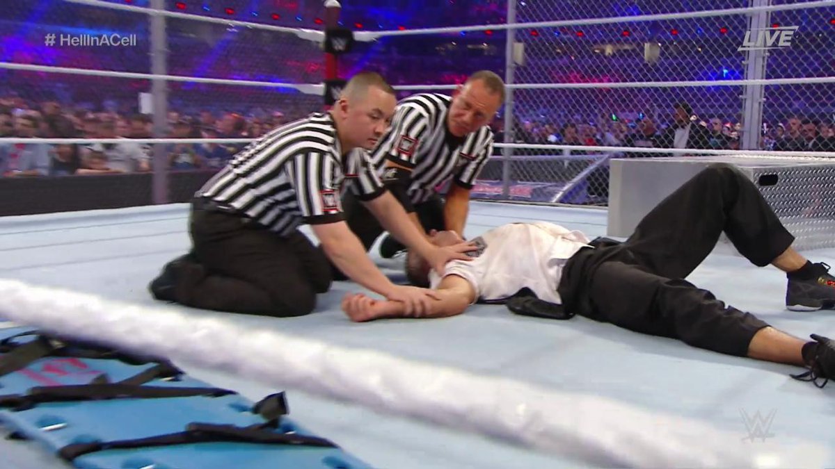 WWE's tweet photo. The #Undertaker will continue his #WrestleMania legacy, but will we ever see @ShaneMcMahon again? #HellInACell https://t.co/hxUXn4wZhA