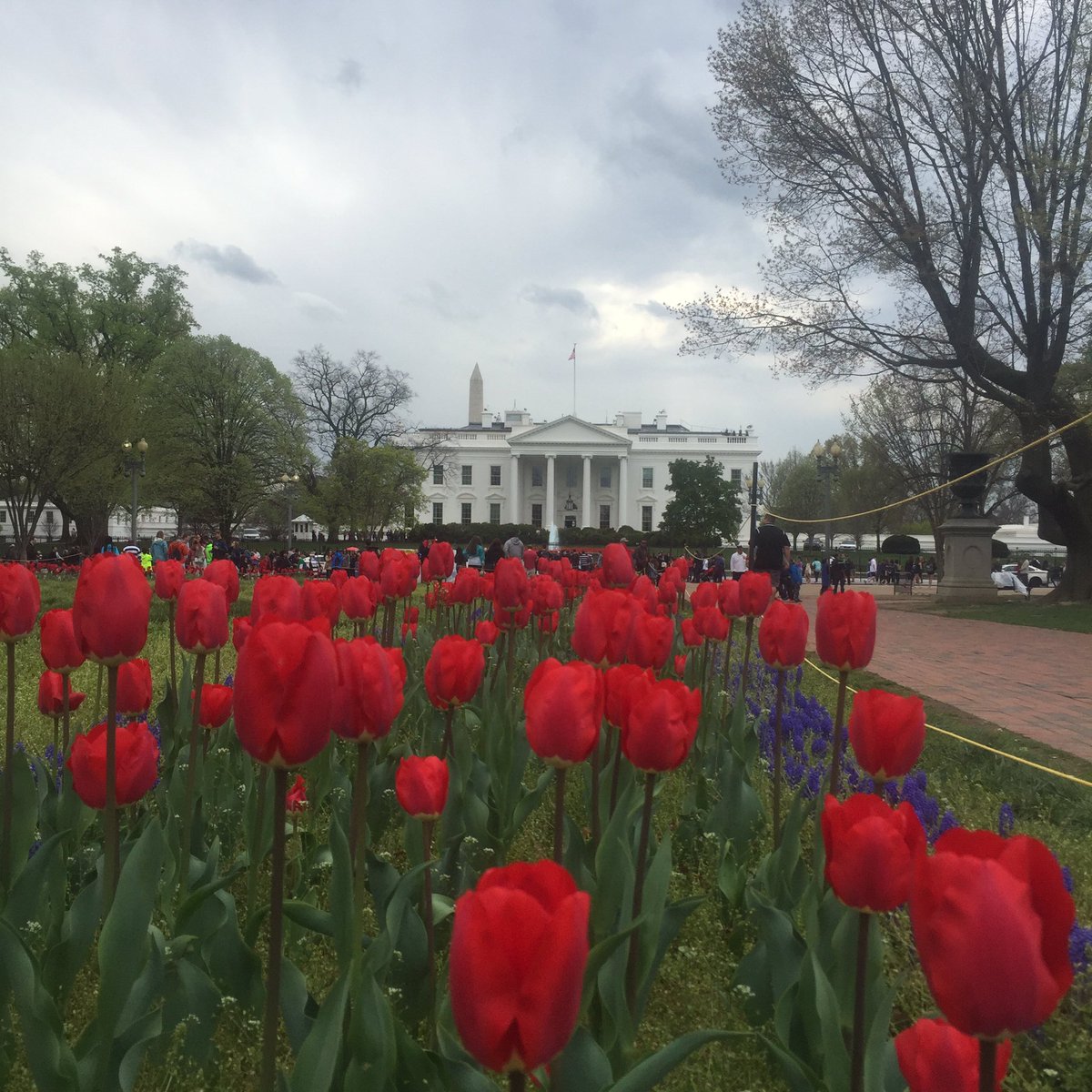 EverydayDC tweet media