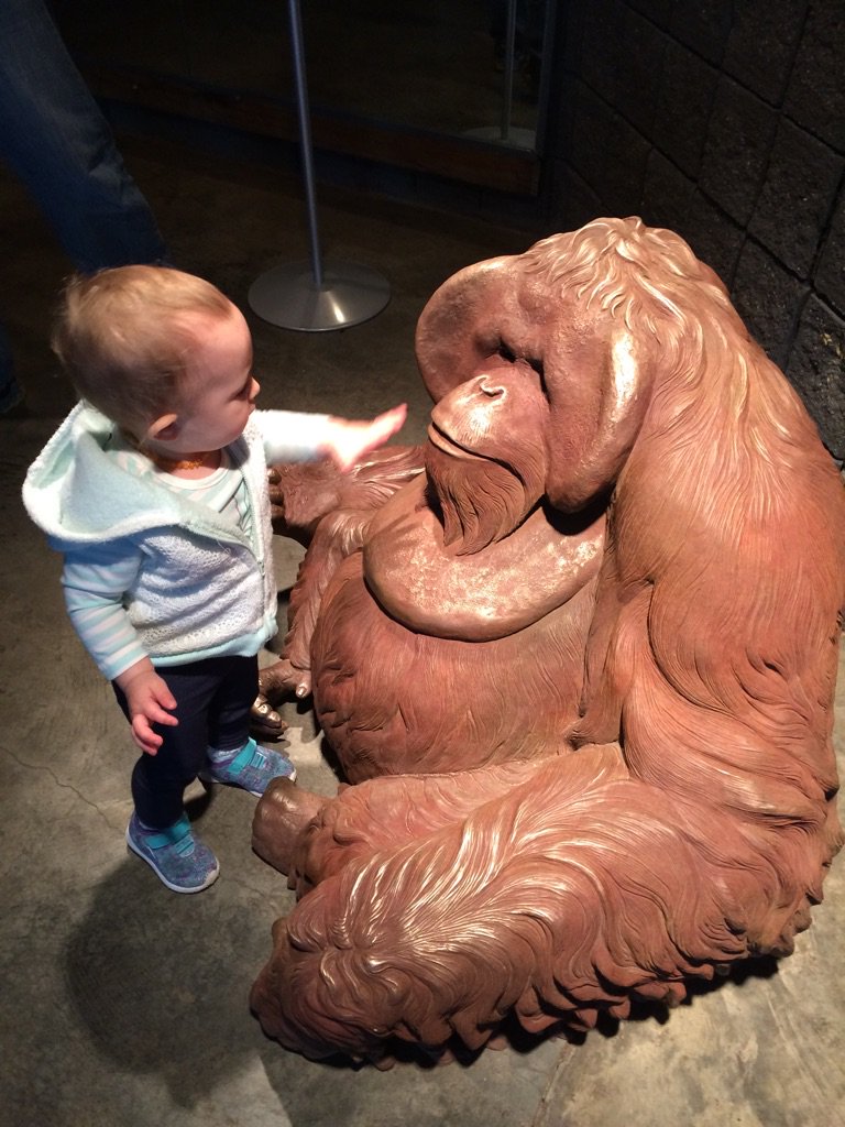 Aeenloe's tweet photo. @henloe @birminghamzoo

My 17th month old daughter has chosen the name Nana https://t.co/EYheArM71n https://t.co/tYJsrx5gJo