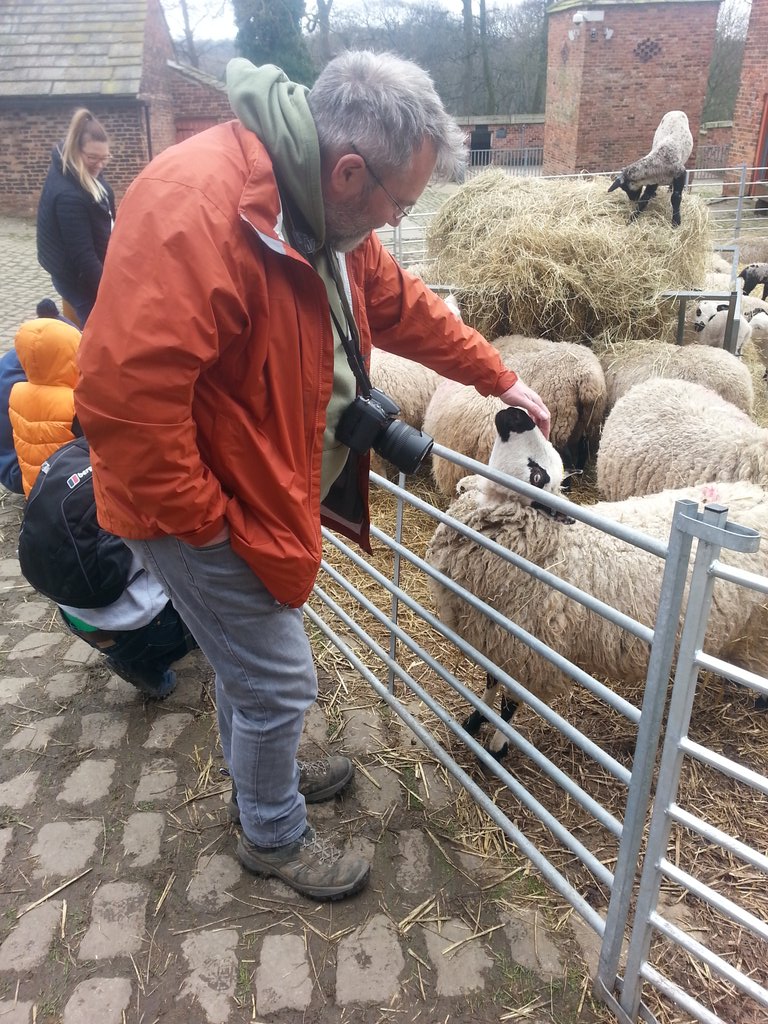 drclarelewis's tweet photo. Too much cute today @HomeFarmTN with the lambs, the escapee piglets and baby goat bouncing around!! @peerieweeotter https://t.co/UD629ECbq9