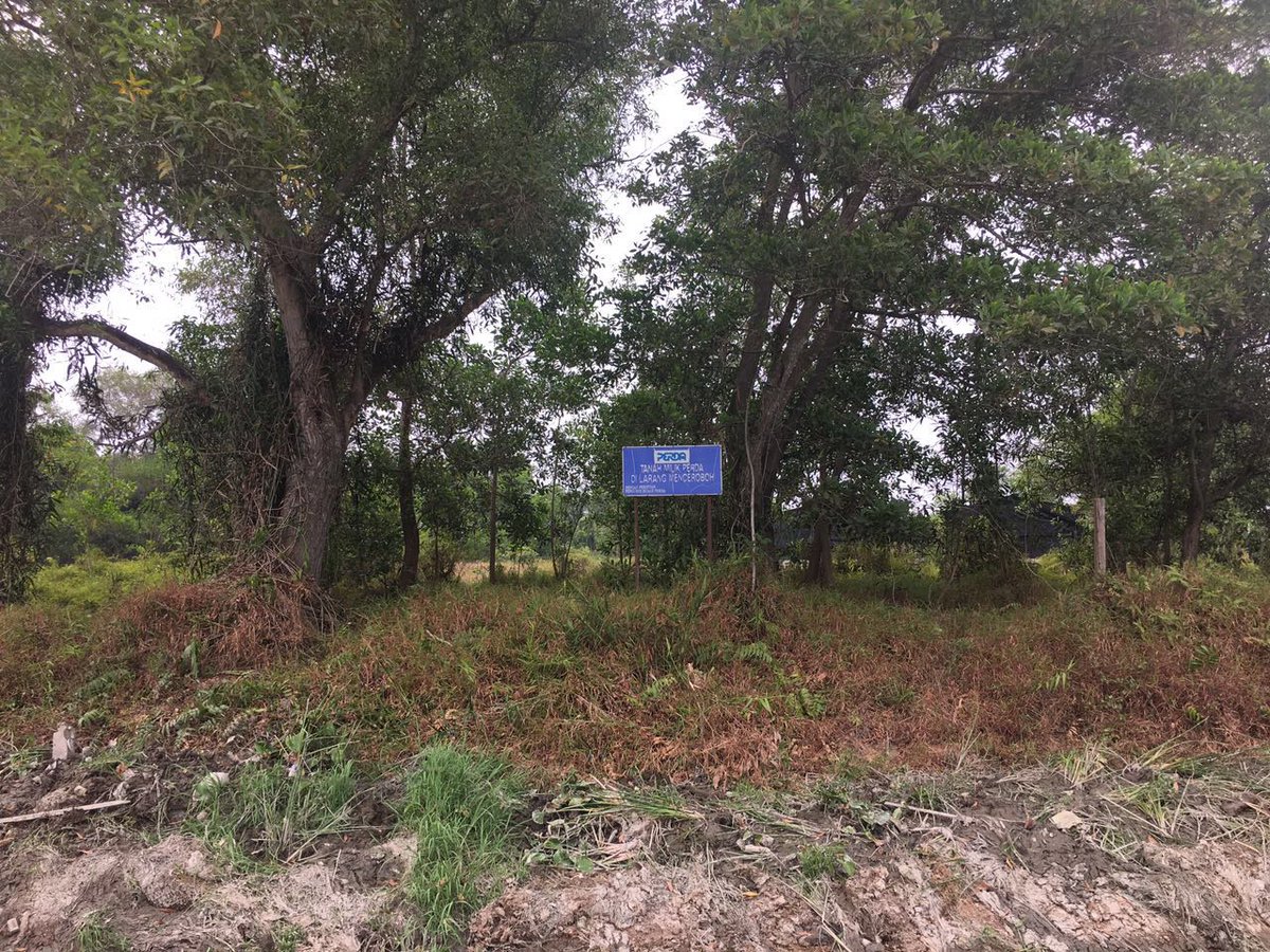 guanenglim's tweet photo. CM Lim with state leaders  making a site visit to the land in Nibong Tebal which belonged to Perda. [admin] https://t.co/WoRdqd3H1V