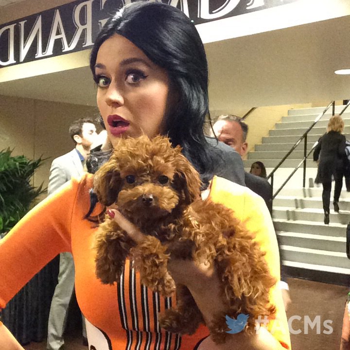 CBS's tweet photo. Backstage at the #ACMs with @katyperry https://t.co/BQZ5JOVVzW https://t.co/iBl8TD2qqy