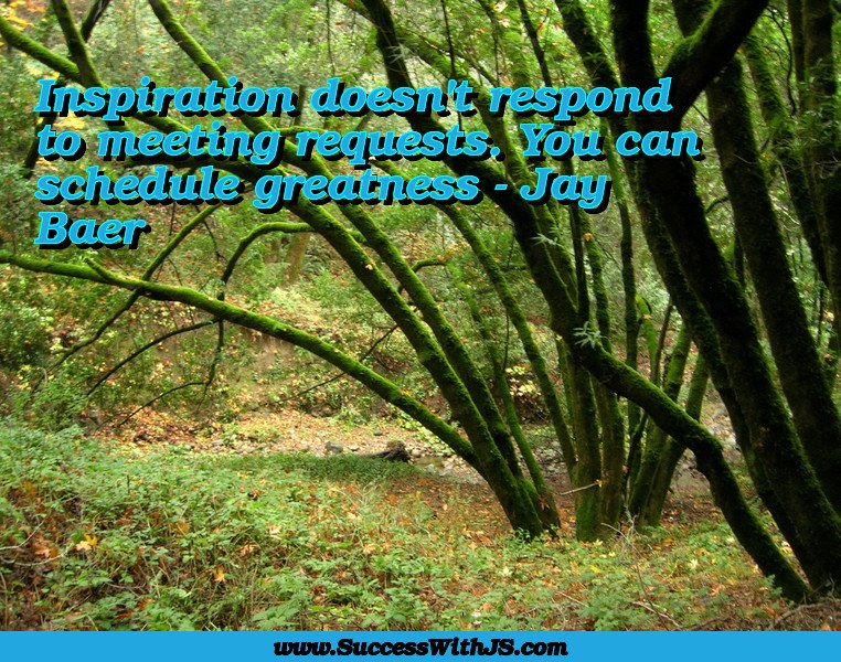 Inspiration doesn't respond to meeting requests. You can schedule greatness - Jay Baer #SuccessWithJS #success