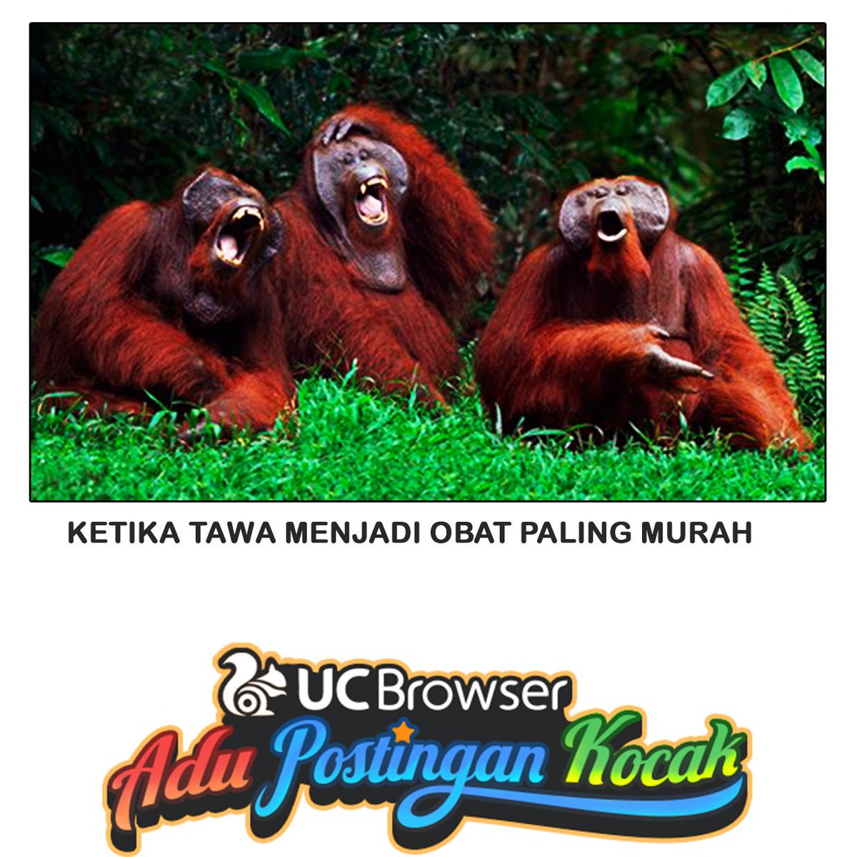 UCBrowserIndo's tweet photo. Masuk ke link ini https://t.co/sHUFFalSYn dan mari tertawa! ^^ https://t.co/7utc3S5WaA
