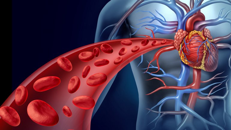 Ver imagen en Twitter Ver imagen en Twitter