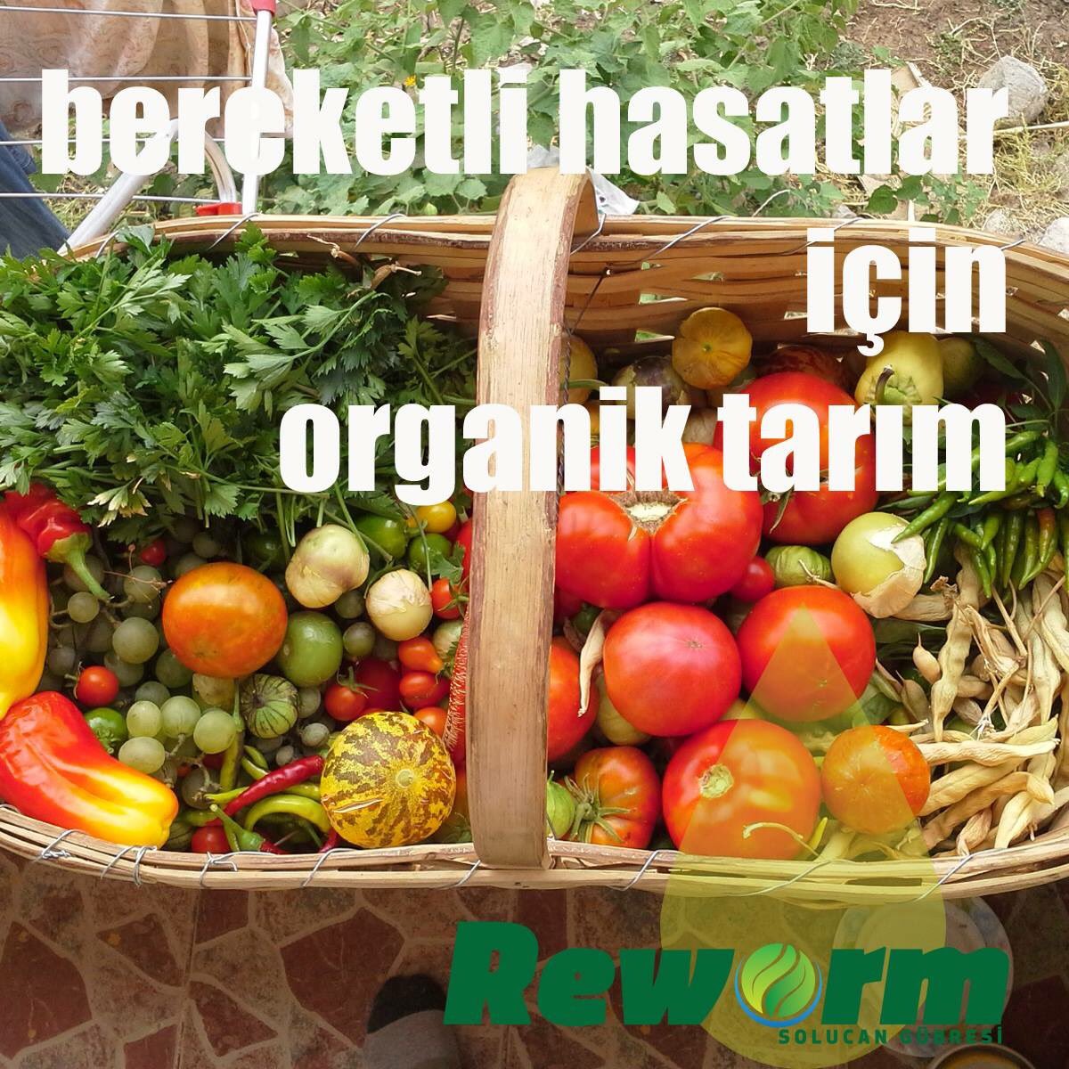 Reworm's tweet photo. Solucan gübresi satışlarımız başlamıştır. Sipariş için bizimle iletişime geçebilirsiniz! https://t.co/4PsSryUjTh https://t.co/qMFUiZEtV4
