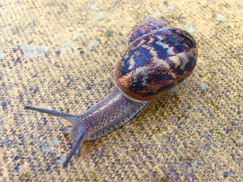 AndiWhitfield's tweet photo. #ThePhotoHour #nature #photo #photooftheday #slowforever #StillHere #slowliving #Slow #photography #naturalbeauty https://t.co/M3HSFOjKWB