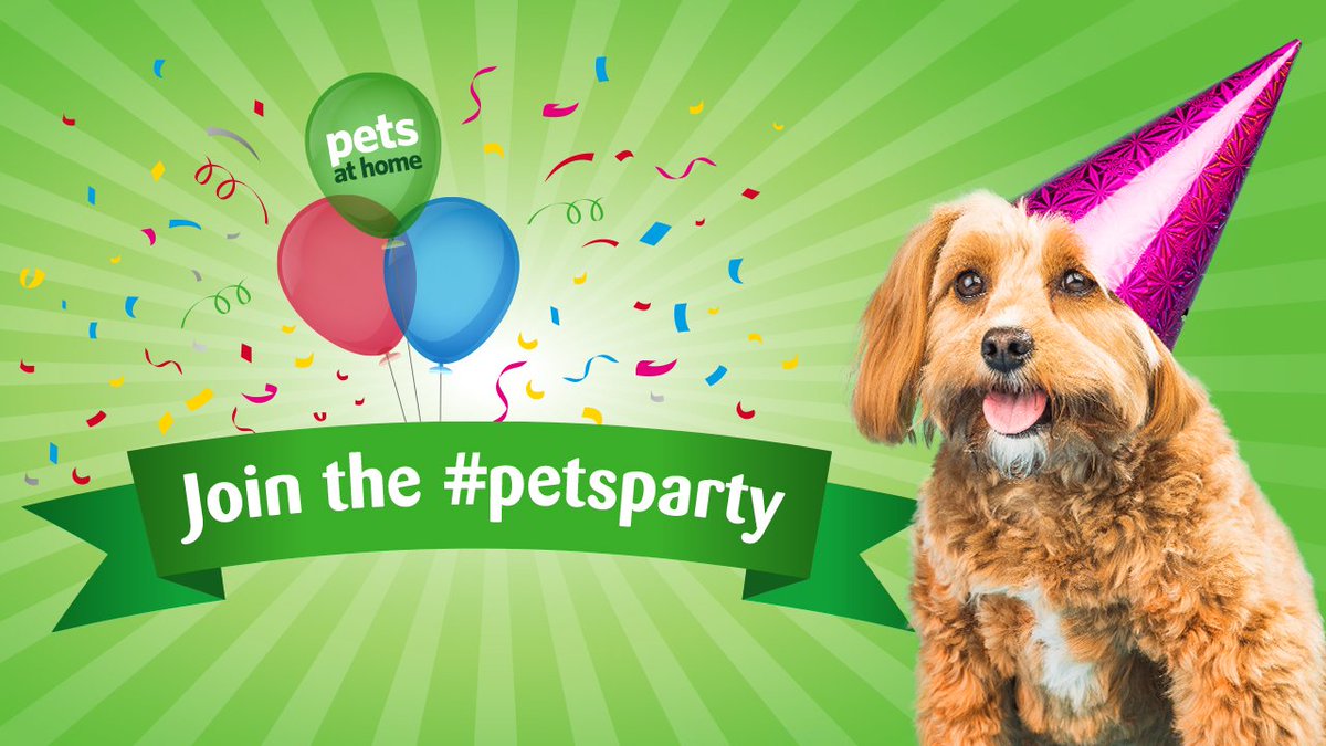 Dog birthday pets at home sales