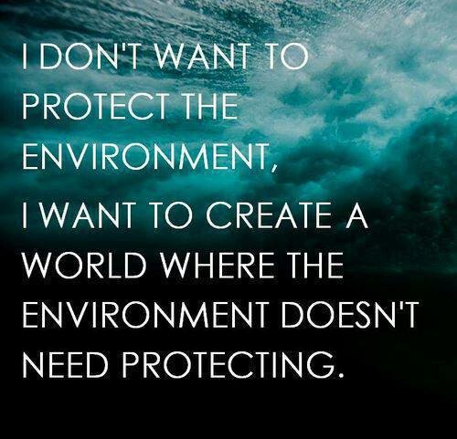 pss670's tweet photo. #motivationalmonday #environmentalquote #teachcnmi @dolphinstuco @StucoMantas @KHS_Ayuyu https://t.co/IGTOSrvzjb