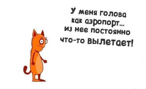 ChelseaHanslip's tweet photo. Хватит тыкать в меня пальцем, я вам не айфон! ("Карибский Кризис-3") https://t.co/Wsm70USAyH