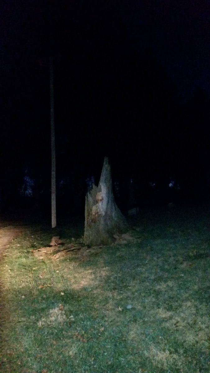 unexplainedppi's tweet photo. A few to ponder on from Evergreen Cemetery in Jackson Michigan. https://t.co/h8IFXf15vw