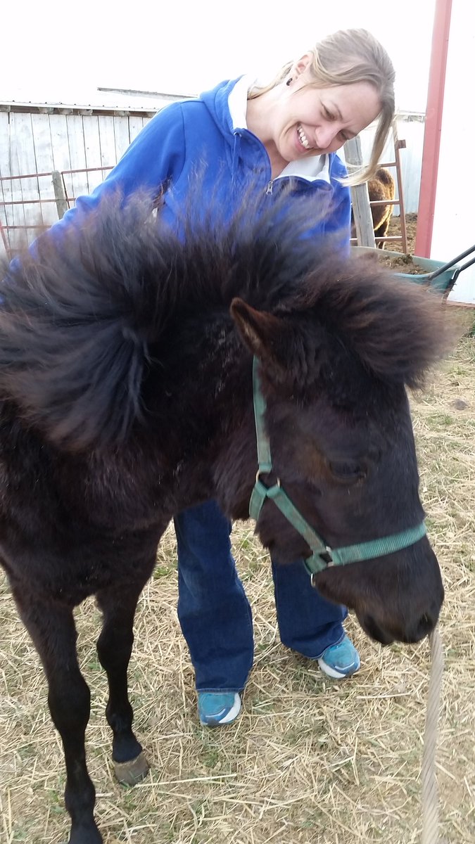 RidgeRescue's tweet photo. This sweet girl has found her home with 2 beautiful girls to grow with. Congrats Sugar and family ! #adopted #pony https://t.co/MXuXeJGOdT