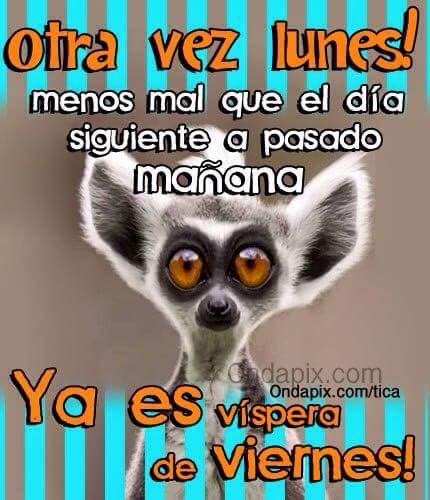 DeboPinto's tweet photo. Buenos días !! #goodmorning #BuenosDias #YaEsLunes https://t.co/tC8wrsOy1E
